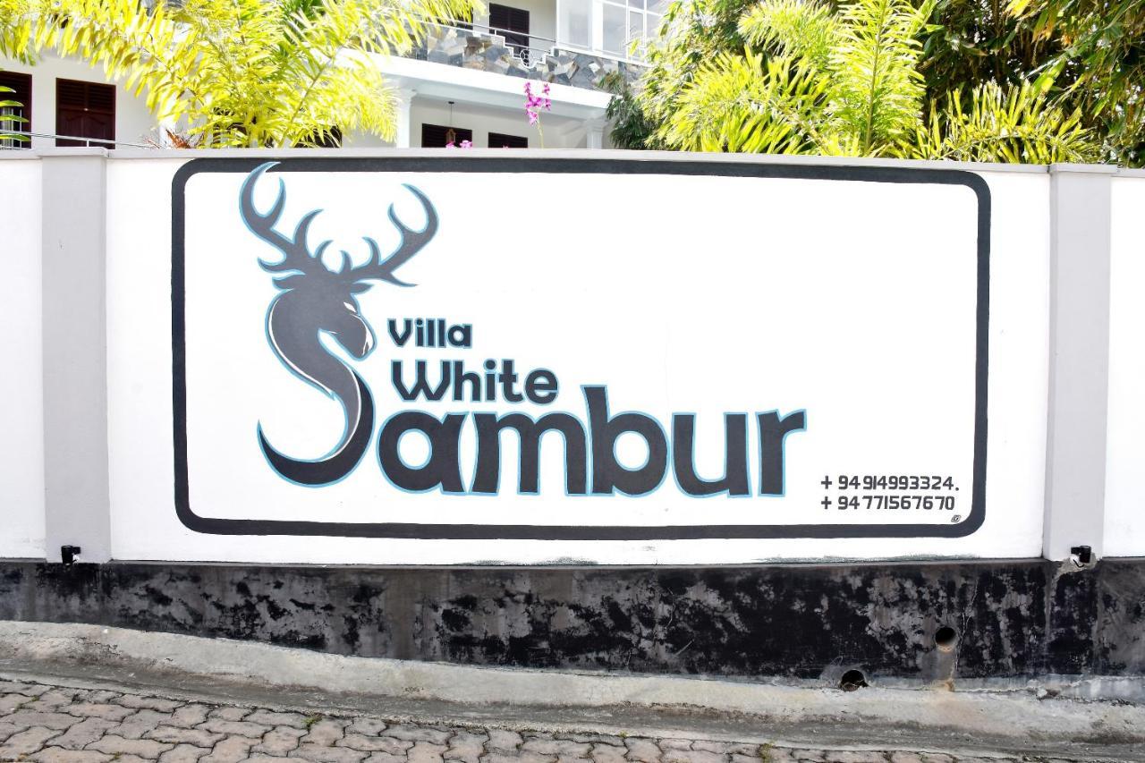 Villa De White Sambur ฮิกคาดูวา ภายนอก รูปภาพ